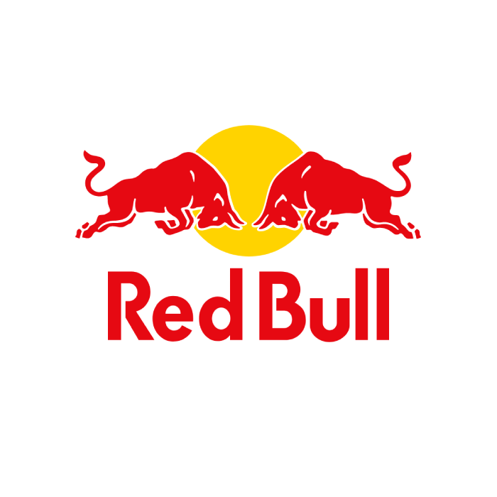 RedBull Racing Team