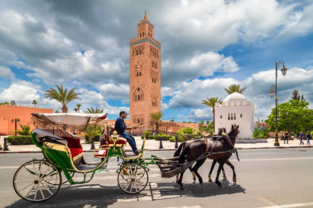 Horse Carriage Marrakesh