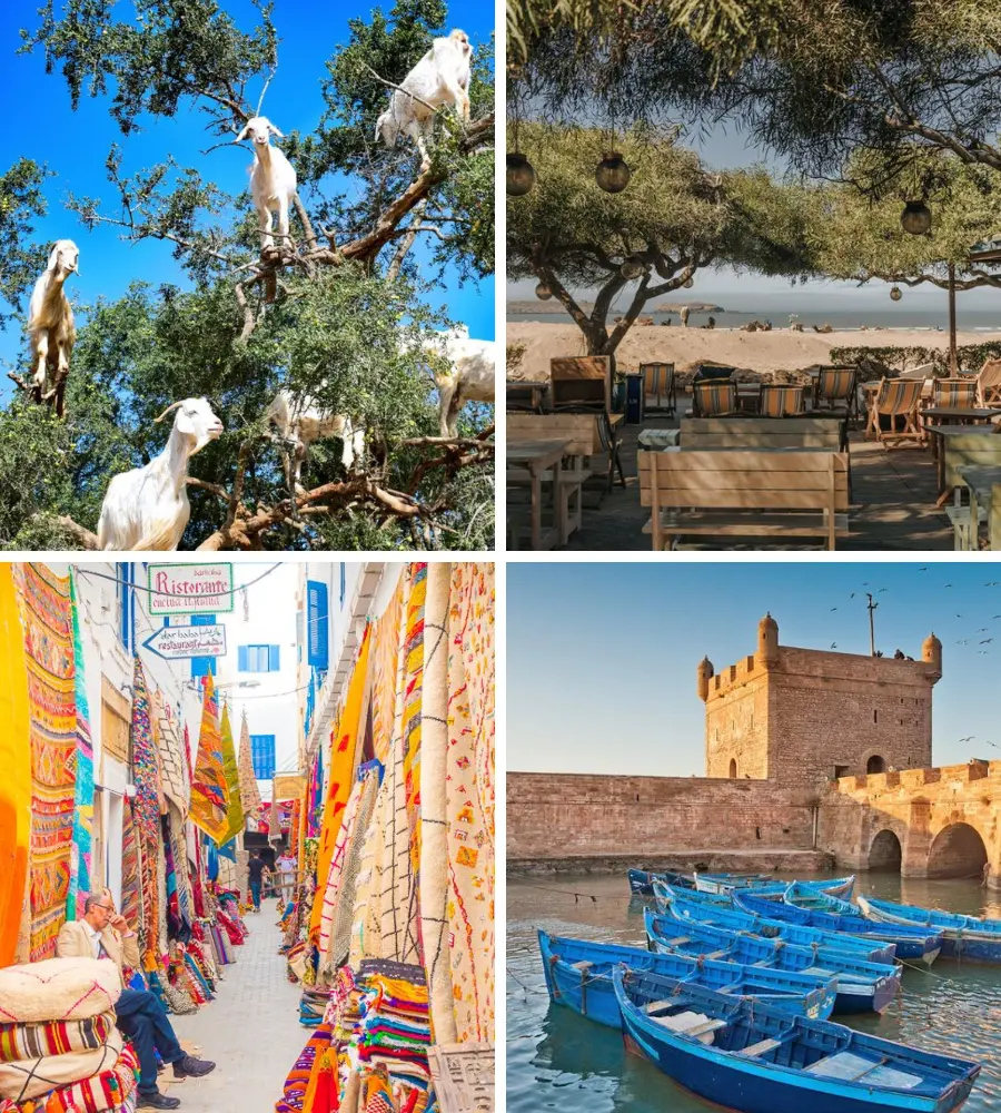 Essaouira day trip from marrakesh